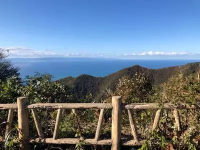 弥彦山スカイライン