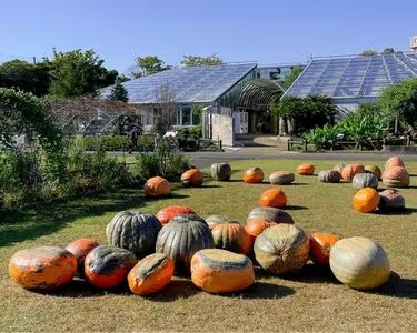 神奈川県立フラワーセンター大船植物園
