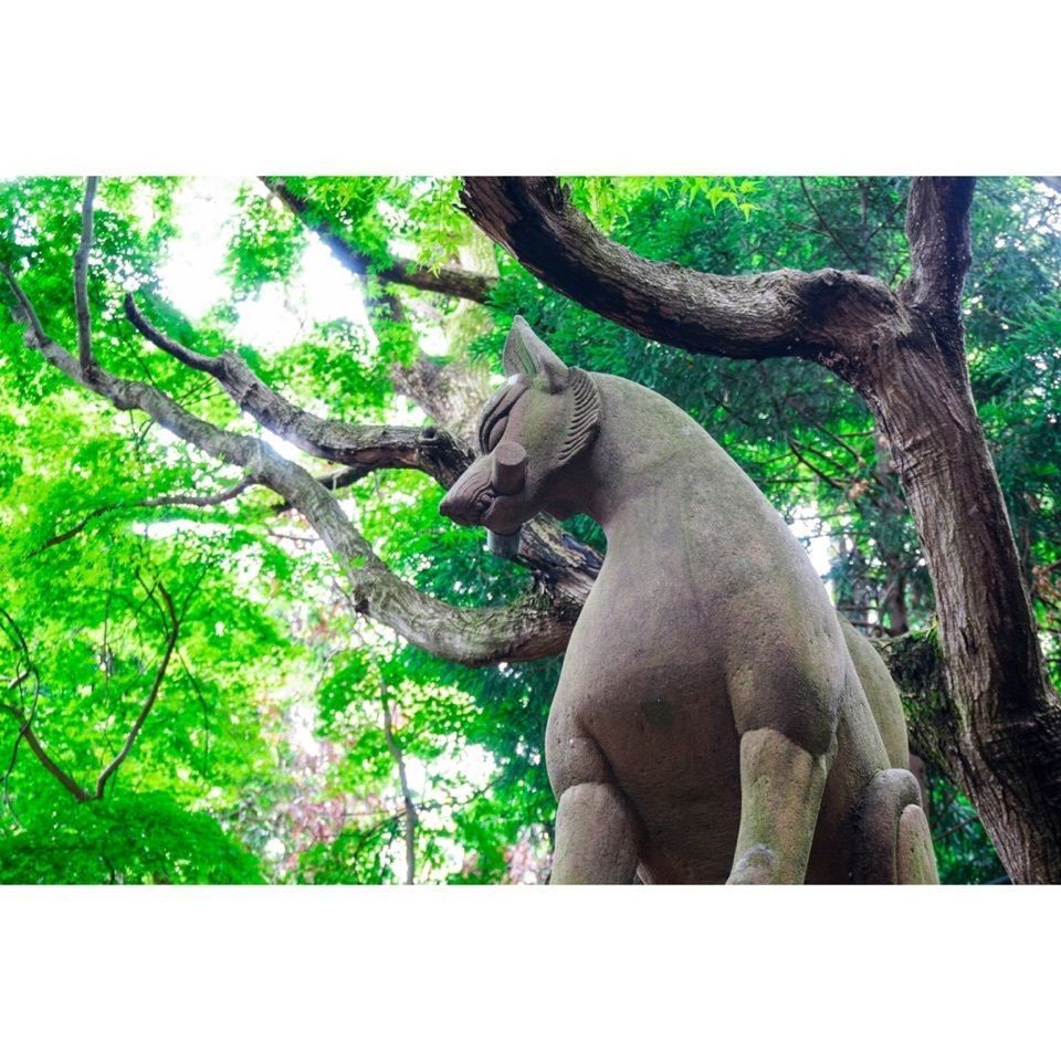 urban_garden_243aさんが投稿した伏見稲荷神社に関する口コミの画像