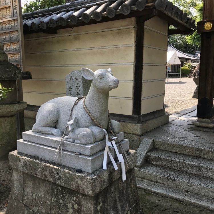 NBR OTさんが投稿した立木神社に関する口コミの画像