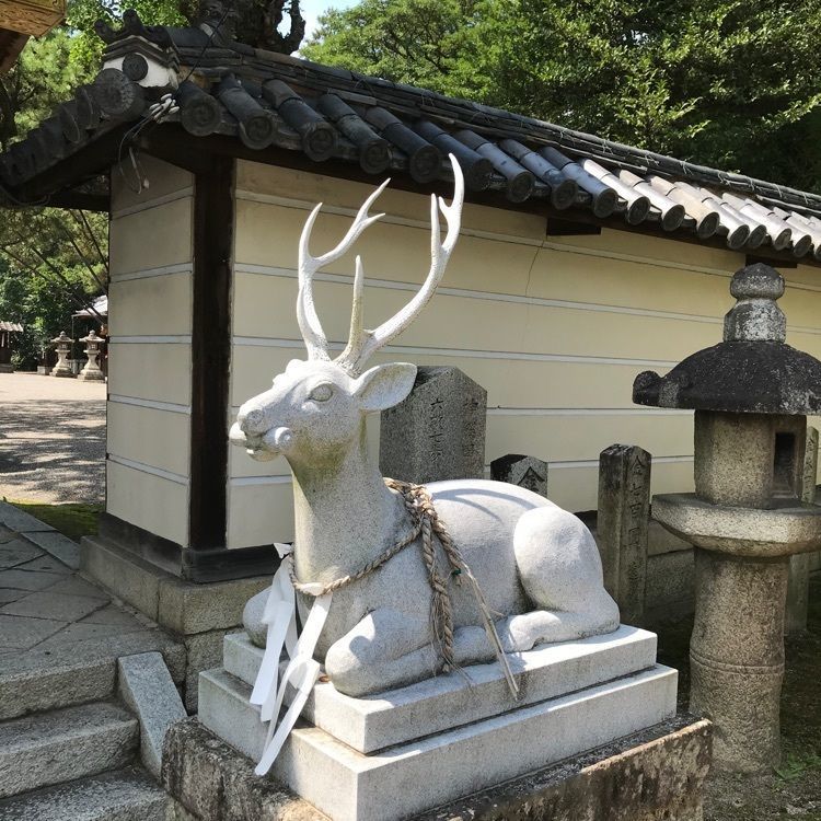 NBR OTさんが投稿した立木神社に関する口コミの画像