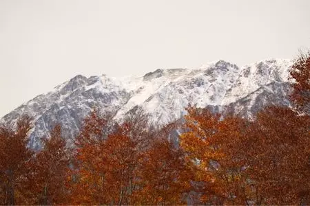 ザシティベーカリー HAKUBA MOUNTAIN HARBOR（THE CITY BAKERY）