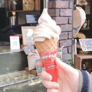 横濱焙煎所直送 窯出し珈琲