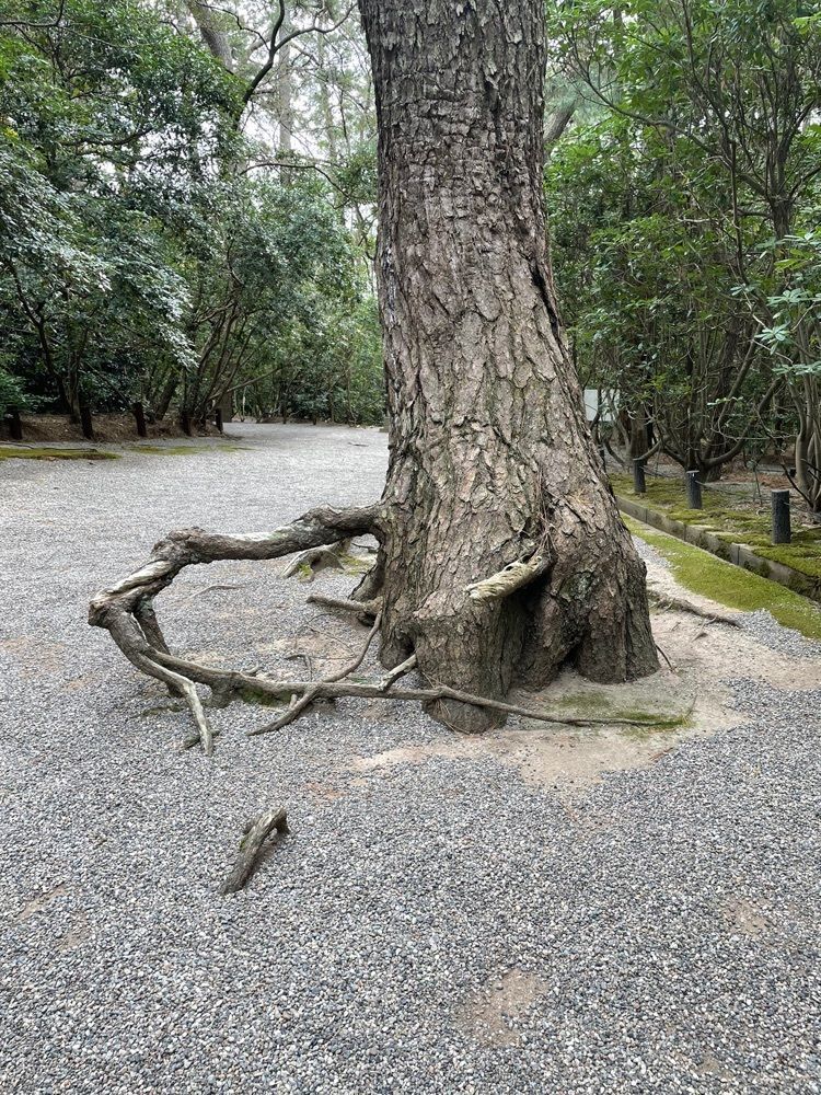 らぐ🏉🍺ビアさんが投稿した安宅住吉神社に関する口コミの画像