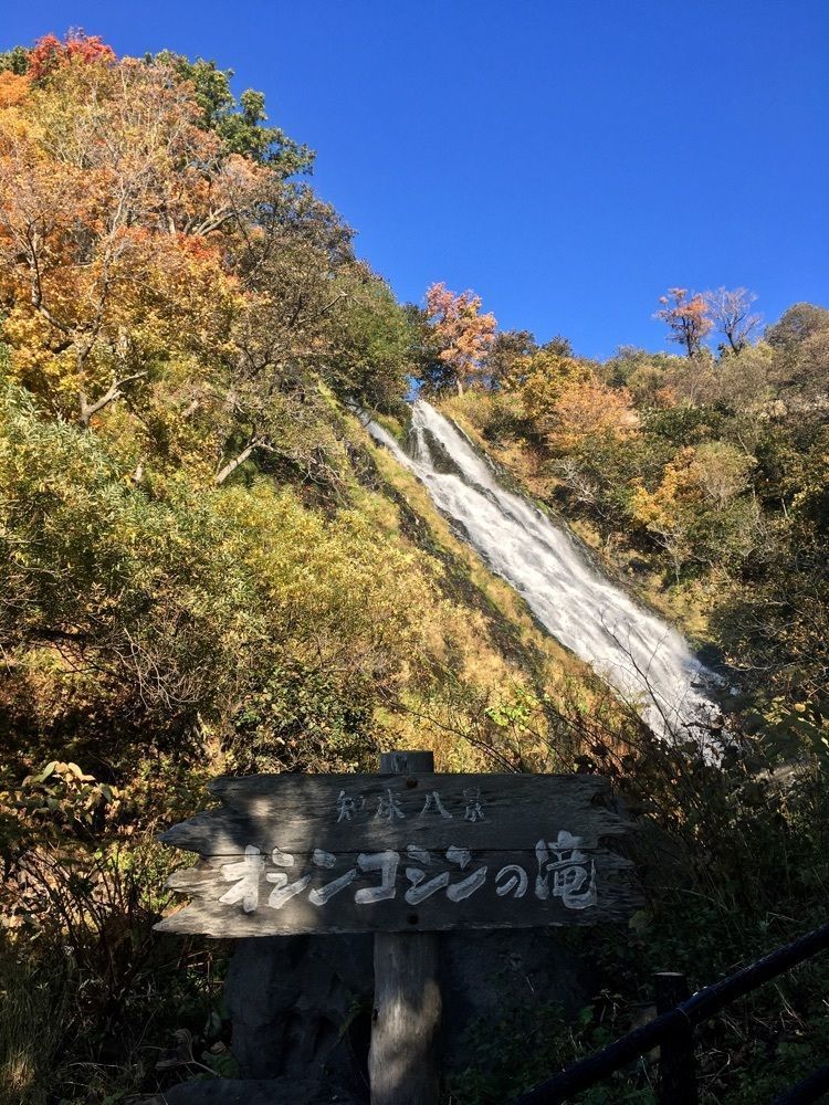 yoshiさんが投稿した知床峠に関する口コミの画像