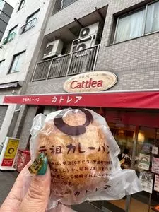 カトレア（Cattlea）