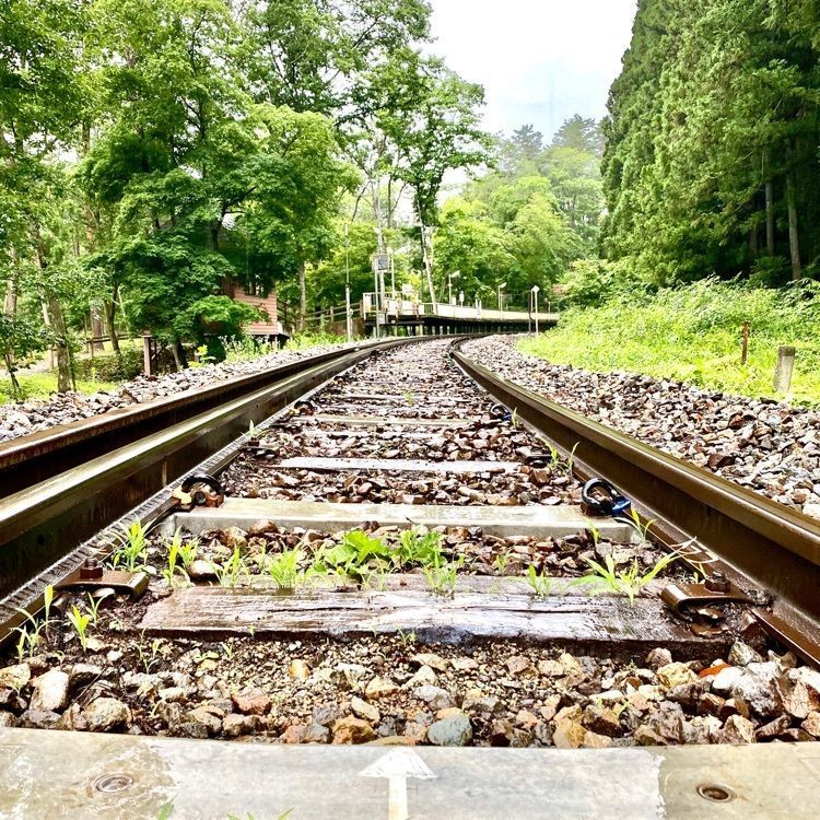 Satoshi.Nさんが投稿した下郷町に関する口コミの画像