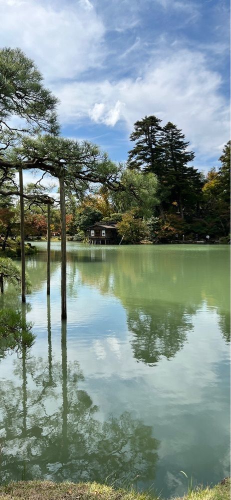 海老桃和久津さんが投稿した根上りの松（兼六園）に関する口コミの画像