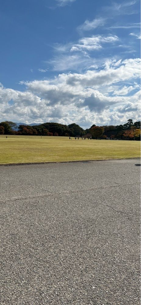 海老桃和久津さんが投稿した近江町刺身市場に関する口コミの画像