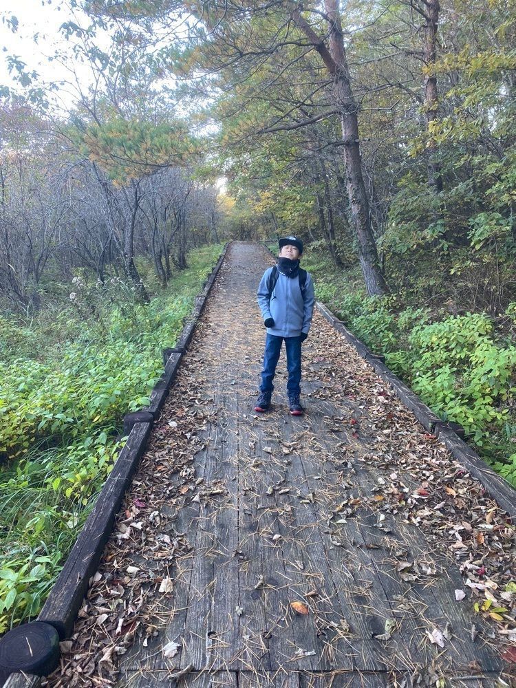 あるふぃすたさんが投稿した臥竜山に関する口コミの画像