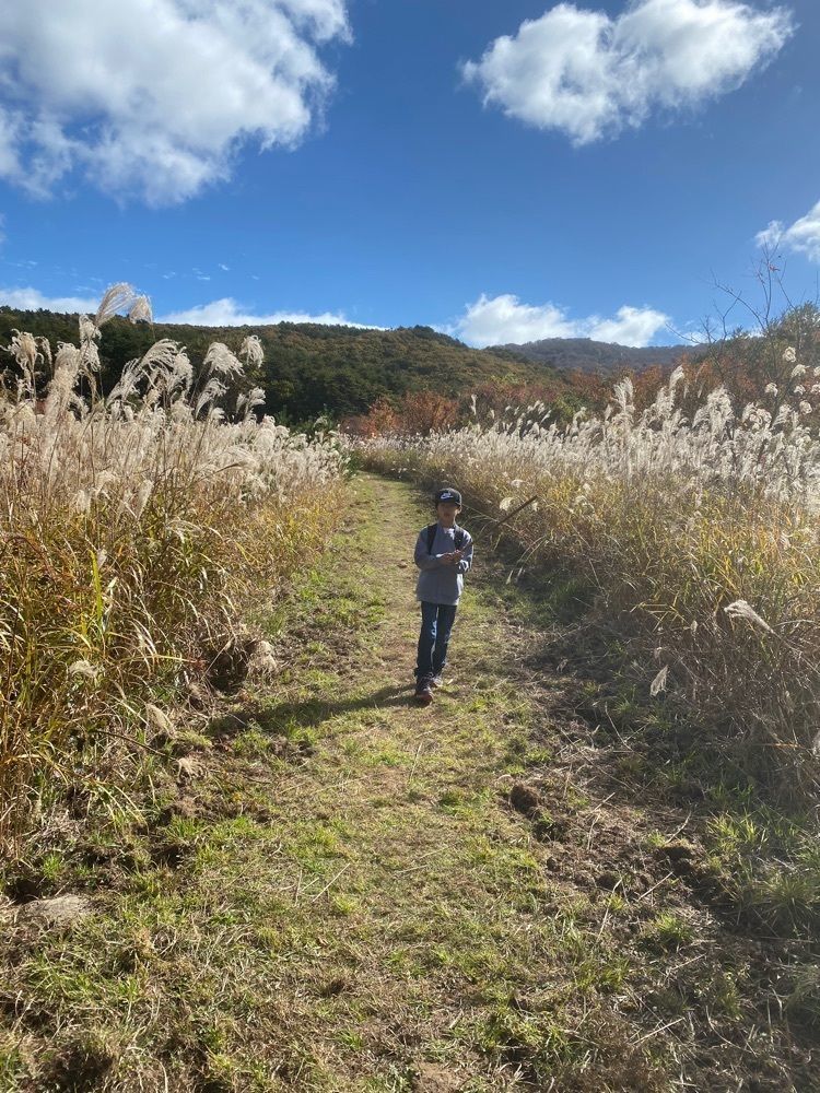 あるふぃすたさんが投稿した臥竜山に関する口コミの画像
