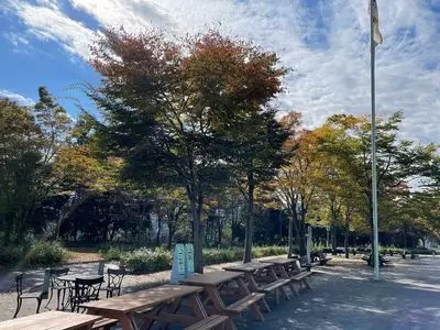 談合坂サービスエリア(上り) やさい村
