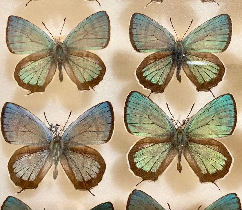 calm_gift_1030さんが投稿した下館ゴルフ倶楽部に関する口コミの画像