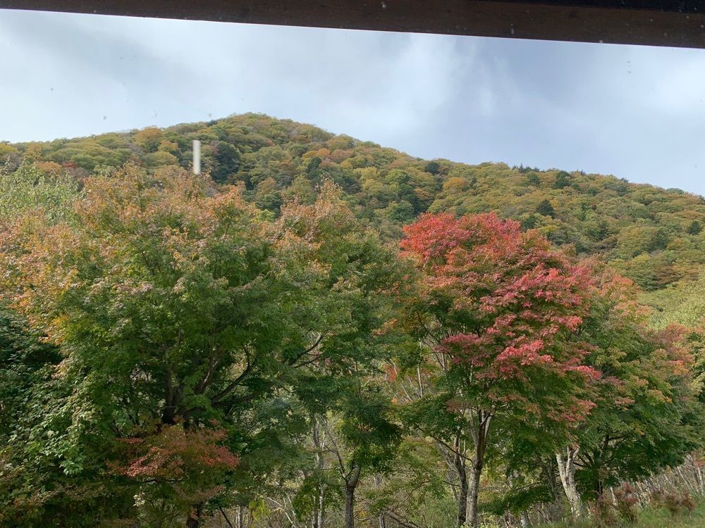ＪＵNさんが投稿した広瀬ダムに関する口コミの画像