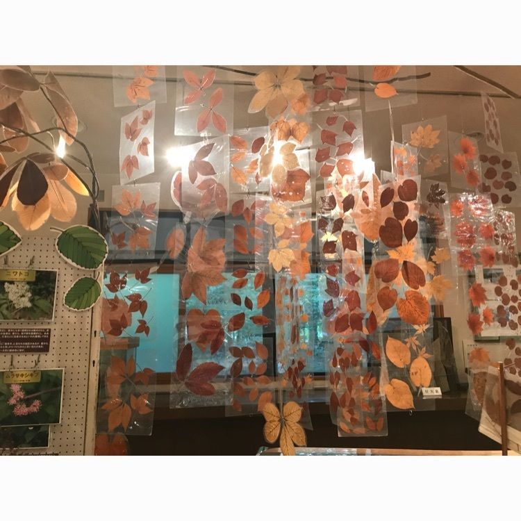 yukayuka26a さんが投稿した塩原温泉ビジターセンターに関する口コミの画像