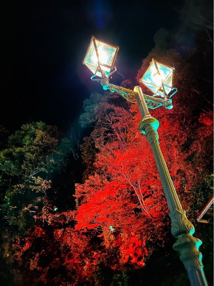 猫なぎ。さんが投稿した銀山温泉 湯けむり食堂 しろがねに関する口コミの画像