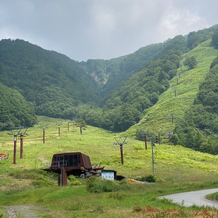 Masaru asaiさんが投稿したひらゆの森 喫茶室 こもれびに関する口コミの画像