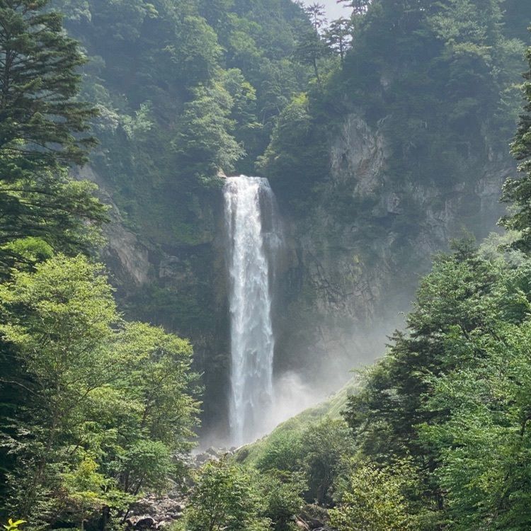 Masaru asaiさんが投稿したひらゆの森 喫茶室 こもれびに関する口コミの画像