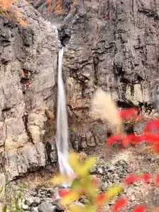 白糸の滝（福島県猪苗代町）