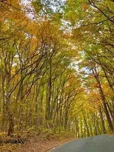 白糸の滝（福島県猪苗代町）
