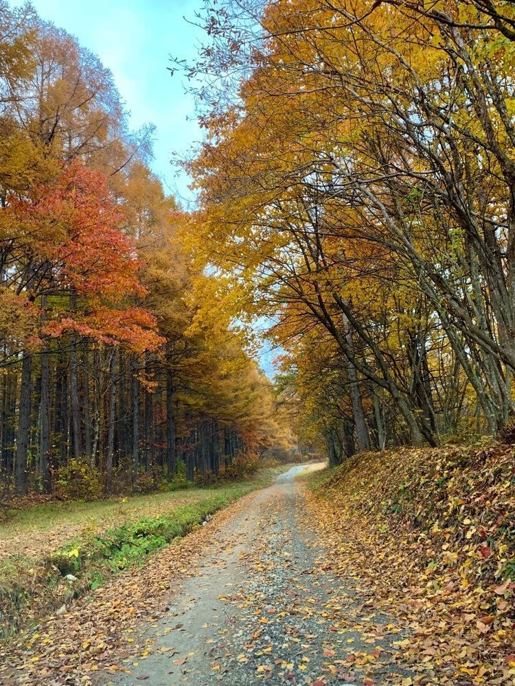 Shoさんが投稿した白糸の滝（福島県猪苗代町）に関する口コミの画像