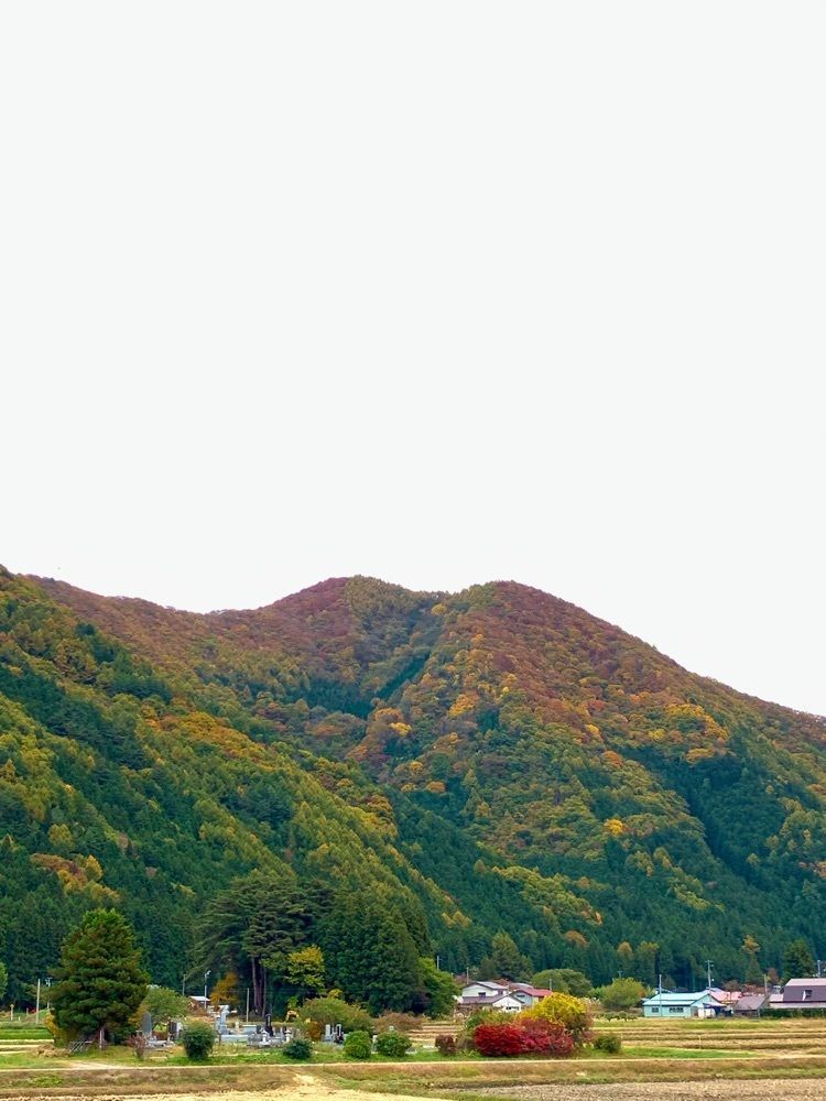 Shoさんが投稿した白糸の滝（福島県猪苗代町）に関する口コミの画像