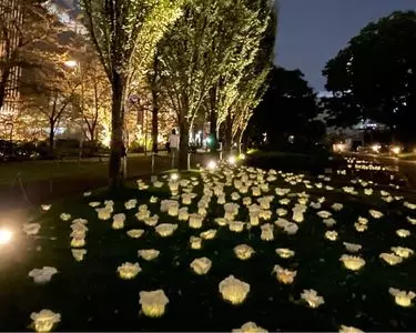 東京ミッドタウン 芝生広場