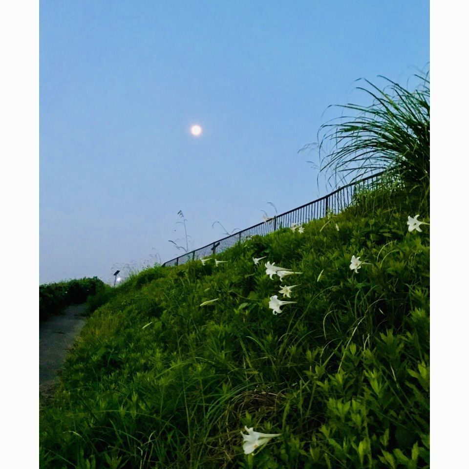 ＫMＴKさんが投稿した熊野川に関する口コミの画像