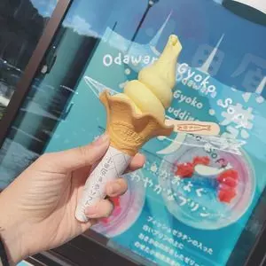 小田原漁港プリン