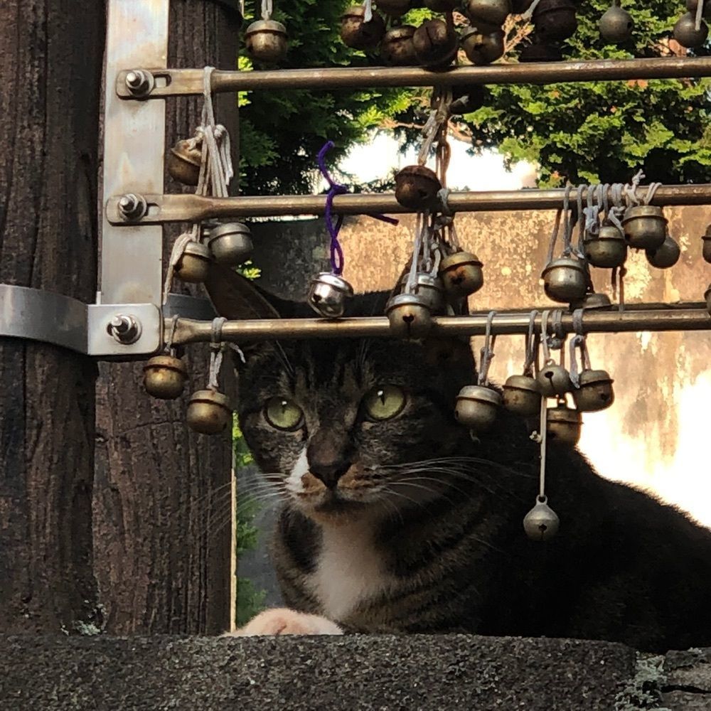 asomogさんが投稿した北条氏政・氏照の墓所に関する口コミの画像