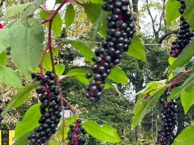 和みの宿 軽井沢