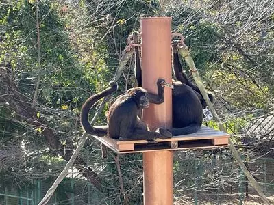 桐生が岡動物園 3枚目
