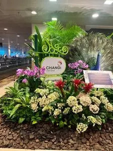 Changi Airport