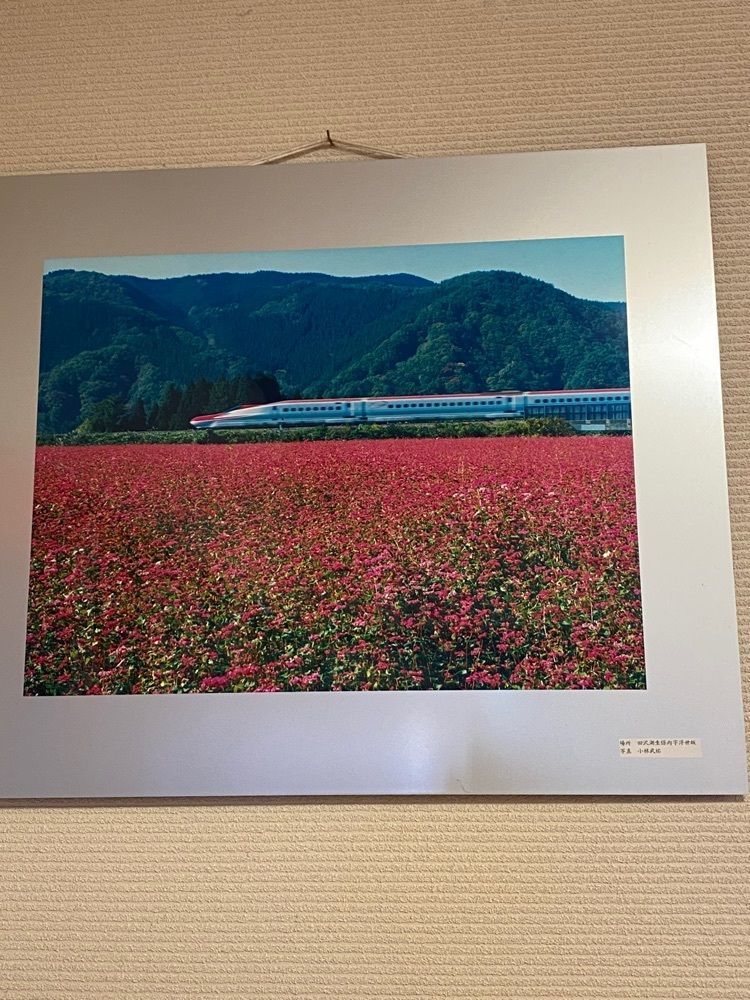 かめ_メグミさんが投稿したそばきり長助（角館地そばの店 手打ち そばきり長助）に関する口コミの画像