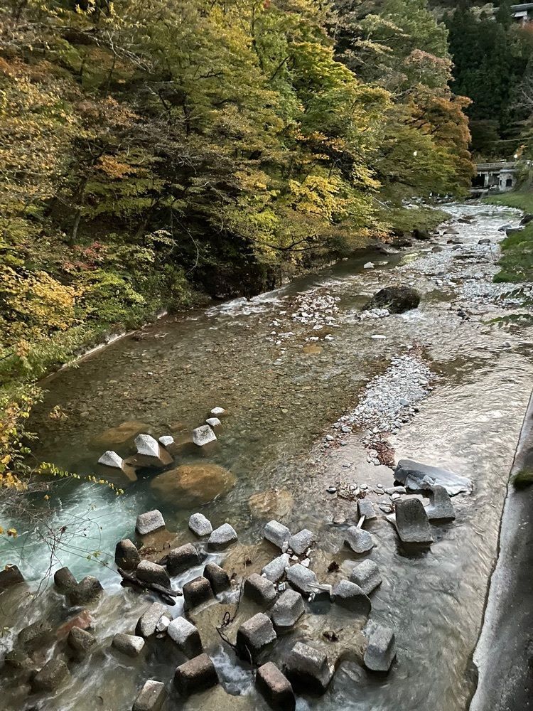 エリさんが投稿した四万温泉に関する口コミの画像