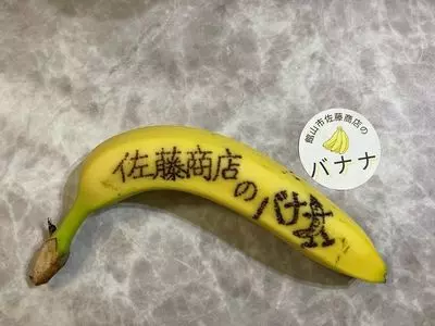 道の駅 とみうら枇杷倶楽部