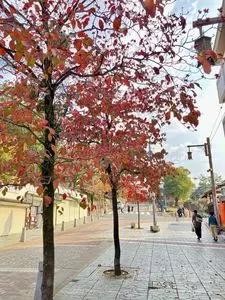 浮見堂