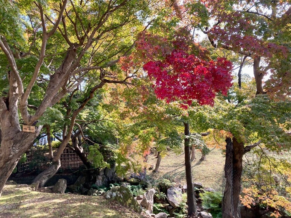 ハッシーさんが投稿した浮見堂に関する口コミの画像