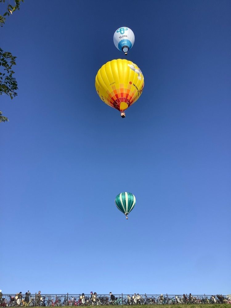 festive_garden_7486さんが投稿した佐賀県立森林公園に関する口コミの画像