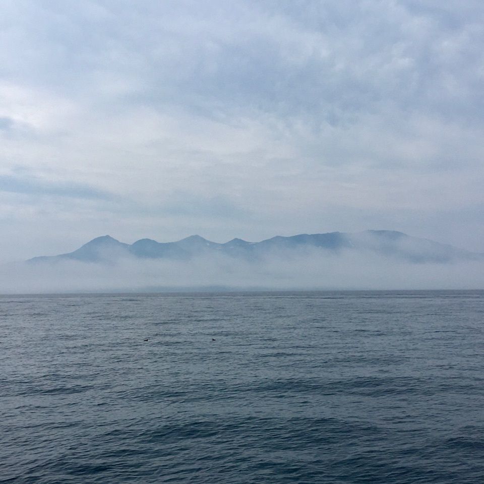 yoshiさんが投稿した（有）丸は宝来水産ゴジラ岩観光知床半島ラウスクルーズに関する口コミの画像