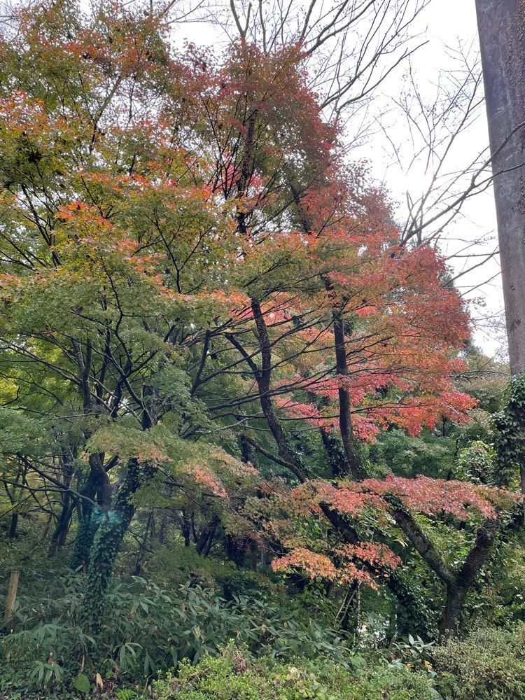 らぐ🏉🍺ビアさんが投稿した森林公園森林動物園に関する口コミの画像
