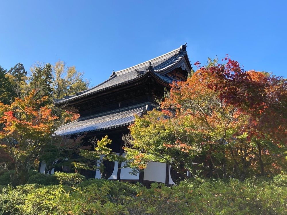 うーとらマンさんが投稿した井山宝福寺に関する口コミの画像