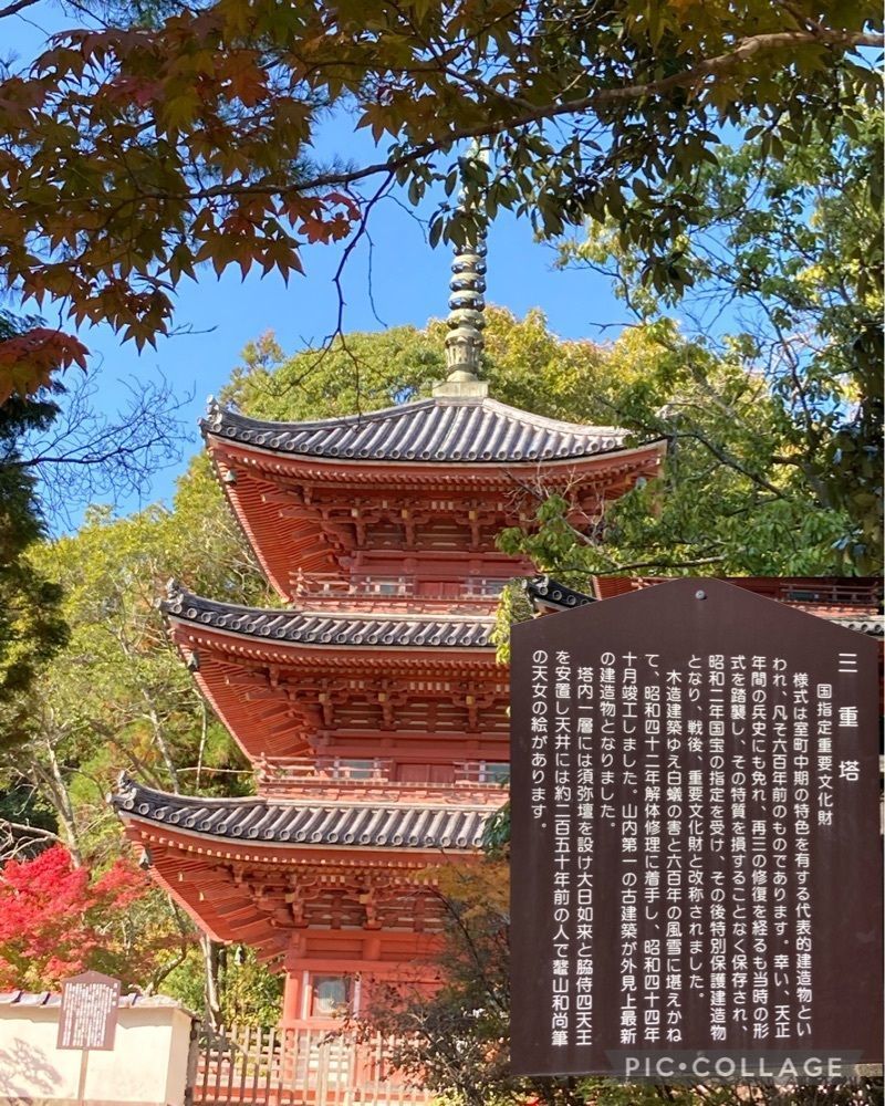 うーとらマンさんが投稿した井山宝福寺に関する口コミの画像