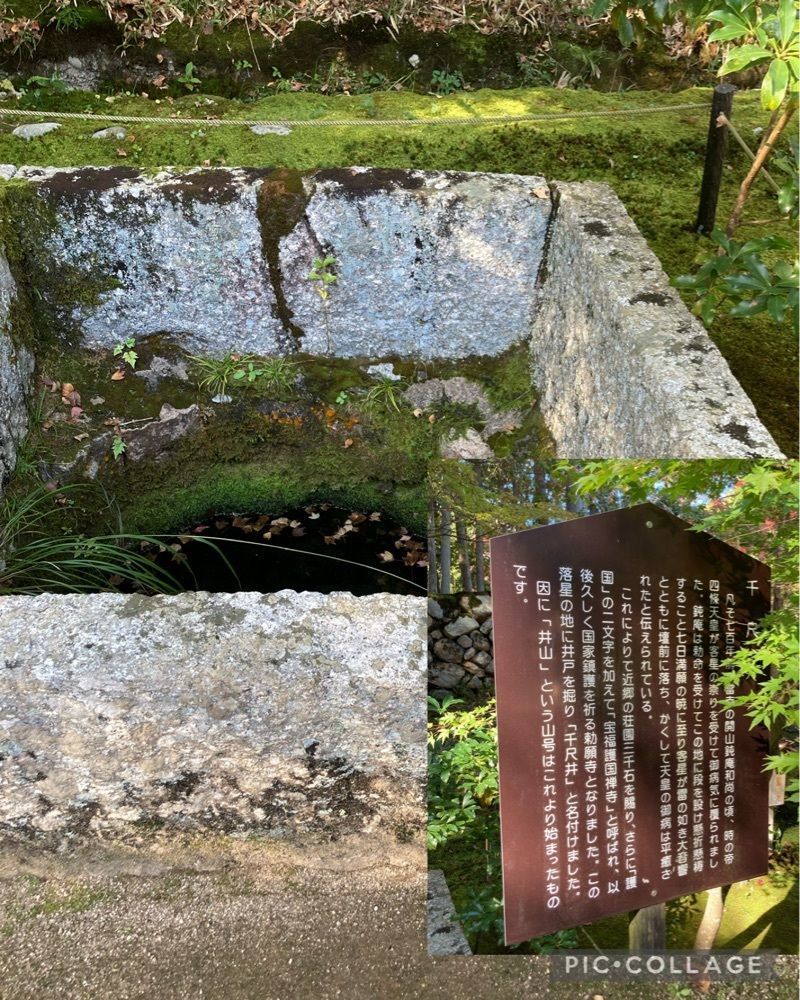 うーとらマンさんが投稿した井山宝福寺に関する口コミの画像