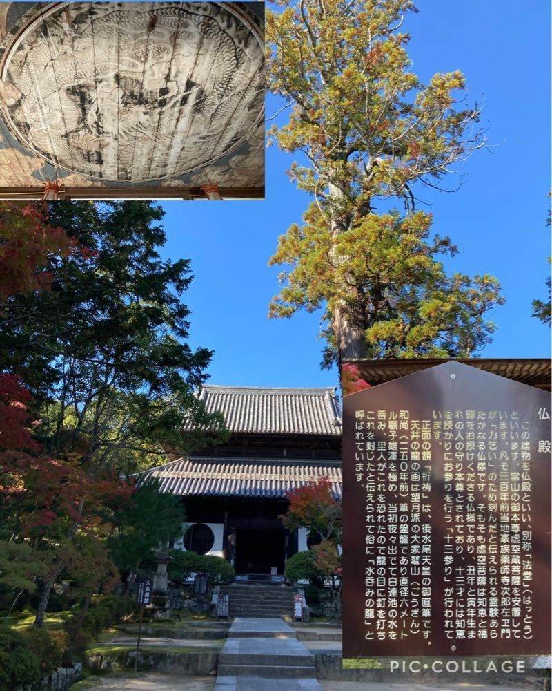 うーとらマンさんが投稿した井山宝福寺に関する口コミの画像