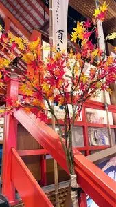 川越 椿の蔵