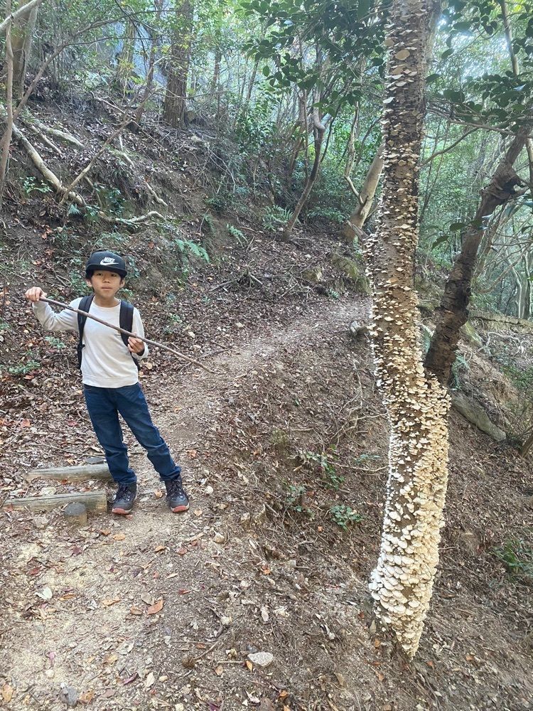 あるふぃすたさんが投稿した古鷹山に関する口コミの画像