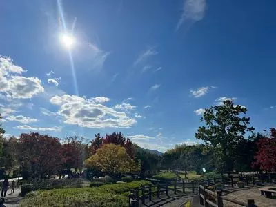 竹取公園