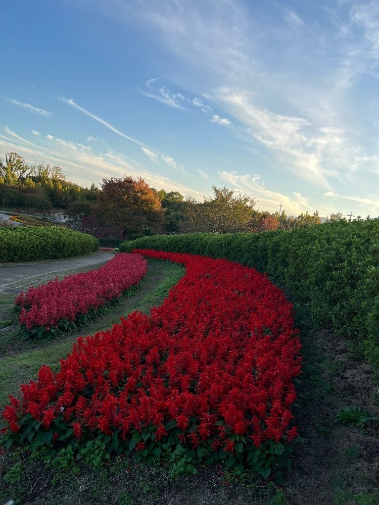 ステップさんが投稿した竹取公園に関する口コミの画像