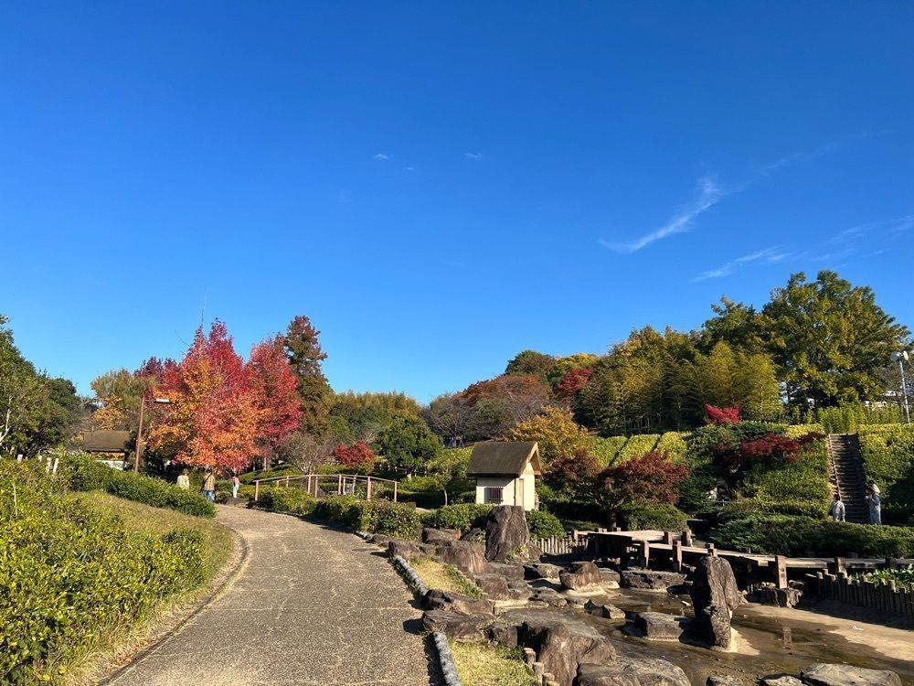 ステップさんが投稿した竹取公園に関する口コミの画像
